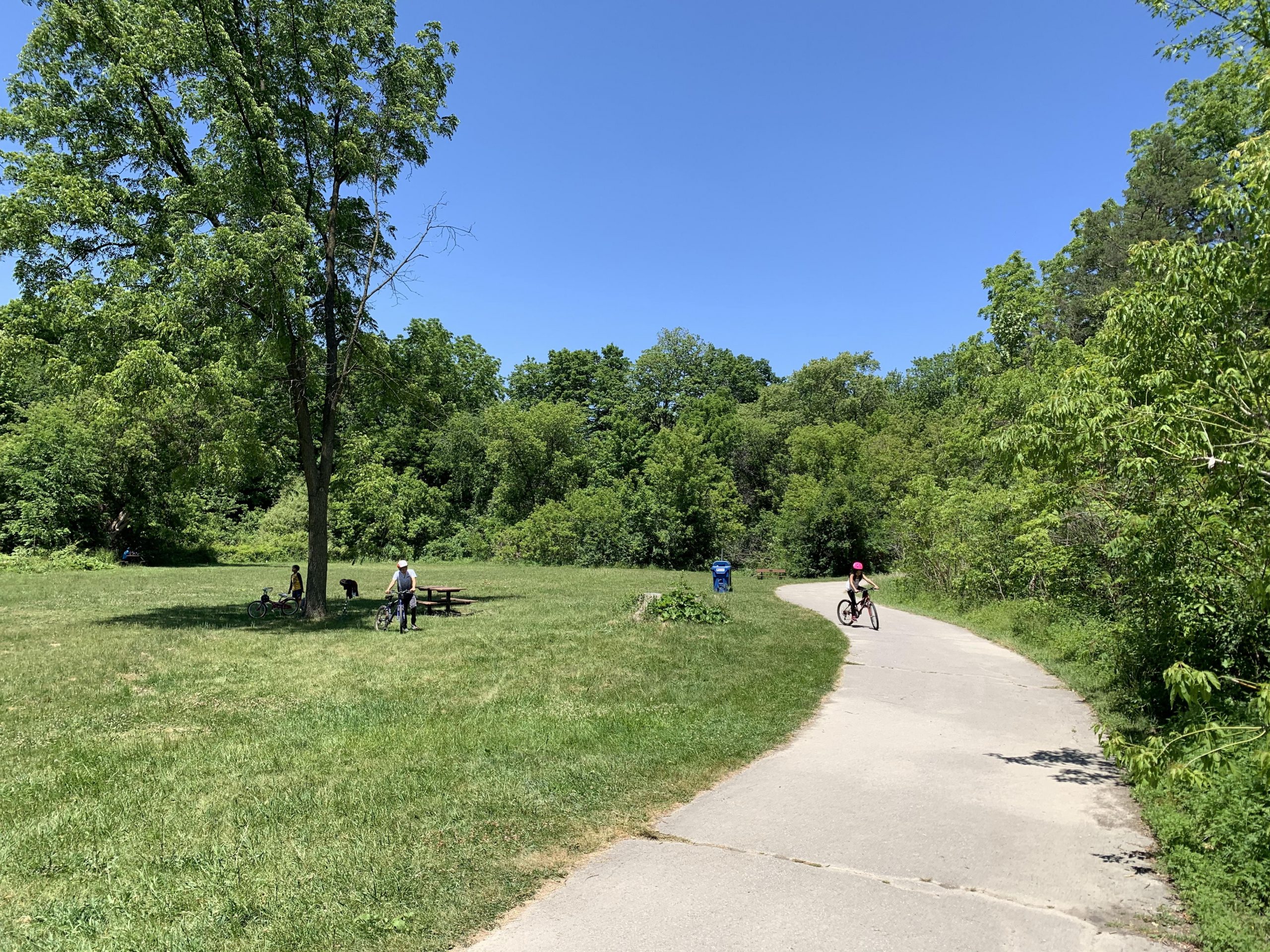 A cement path through a lush park and a child riding a bike